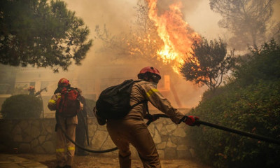 Πύρινη κόλαση στην Κινέτα: Οι φλόγες κατακαίουν τα πάντα στο διάβα τους – Συγκλονιστικές εικόνες