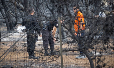 Μακραίνει η μακάβρια λίστα: 91 νεκροί από τη φωτιά στο Μάτι - 25 οι αγνοούμενοι