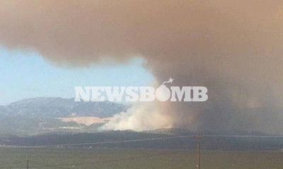 Πύρινος εφιάλτης: Μεγάλη πυρκαγιά στην Εύβοια - Εκκενώθηκαν τα χωριά Κοντοδεσπότι και Σταυρός