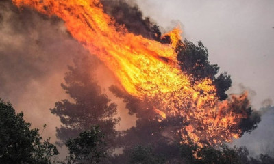 Φωτιά ΤΩΡΑ στον Άγιο Στέφανο Αττικής