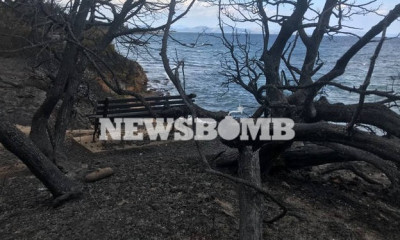 Αποκάλυψη από επιστήμονα: Υγειονομική «βόμβα» το Μάτι - Πότε πρέπει να επιστρέψουν οι κάτοικοι