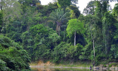 Έχετε ξαναδεί παρόμοιο ερπετό; Ένα σπάνιο είδος που μοιάζει με φίδι (video)