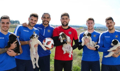 Αστέρας Τρίπολης: Οι ποδοσφαιριστές φροντίζουν αδέσποτα κουταβάκια (photos)