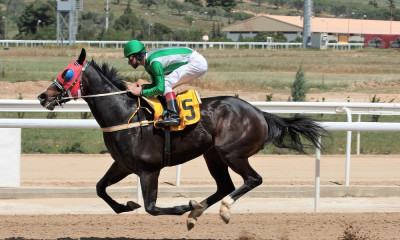 ΕΝΕΠΔΙ: Το νέο αθλητικό νομοσχέδιο βάζει σωστές βάσεις για τις ελληνικές ιπποδρομίες