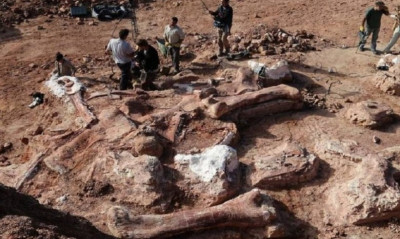 Αυτό είναι το μεγαλύτερο πλάσμα που περπάτησε ποτέ στη Γη (videos)