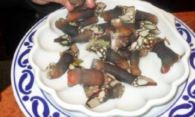 «Δάχτυλα του Διαβόλου»: Το σπάνιο αλλά θανατηφόρο έδεσμα της θάλασσας (photos)