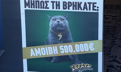 Kυνήγι σε όλη την Ελλάδα για μία γάτα με αμοιβή 500.000 ευρώ