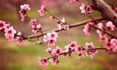 Τα 3 ζώδια που θα έχουν έναν δύσκολο Απρίλιο
