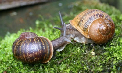 Οι «δεν είδα τίποτα, δεν άκουσα τίποτα» της Τετάρτης, έγιναν «τα ξέρω όλα» την Παρασκευή…