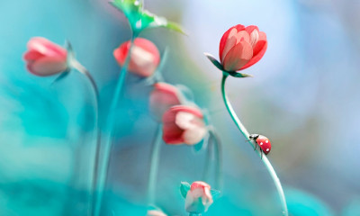 Όλα όσα χρειάζεται να ξέρεις για τον Μάιο του 2019