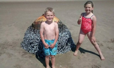 H οικογένεια που έμαθε από την αστυνομία ότι φλέρταρε με τον θάνατο (video)