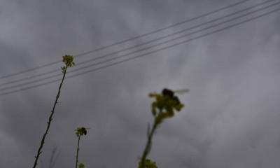 Άστατος ο καιρός σήμερα με καταιγίδες και σκόνη