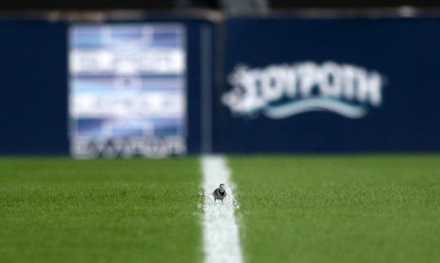 Super League: Φινάλε με αγωνία… παραμονής