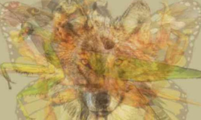 Ό,τι είδες αρχικά στη φωτογραφία, αποκαλύπτει το ποιος ή ποια είσαι πραγματικά!