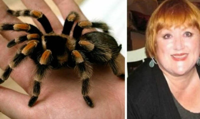 Άντρας αγόρασε ταραντούλα για να μην έρχεται η πεθερά του στο σπίτι (video)