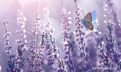 Ημερήσιες Προβλέψεις για όλα τα Ζώδια 21/05