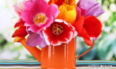 Ημερήσιες Προβλέψεις για όλα τα Ζώδια 27/05