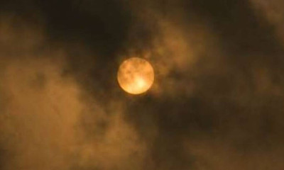 Ακουσε θόρυβο και μπήκε στην κουζίνα. Οταν είδε τι είχε συμβεί έβαλε τις φωνές (video)