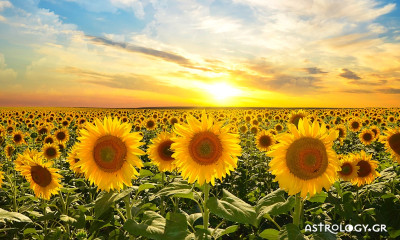 Ημερήσιες Προβλέψεις για όλα τα Ζώδια 10/06
