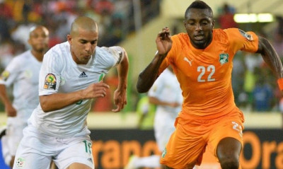 Ελέφαντες και αλεπούδες σε αγώνα χωρίς αύριο