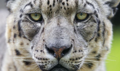 Όταν η φύση σε αφήνει με ανοιχτό το στόμα