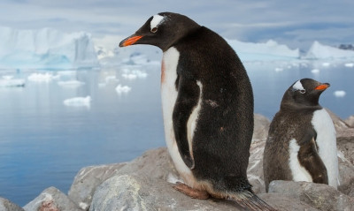 Θα γελάσεις με τις άχρηστες πληροφορίες της ημέρας