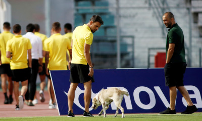 Βόλος-Άρης: Προθέρμανση με… τετράποδη εισβολή (photos)