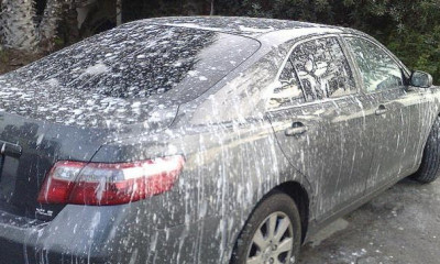 Αυτά τα χρώματα… τραβάνε τις κουτσουλιές (photos)