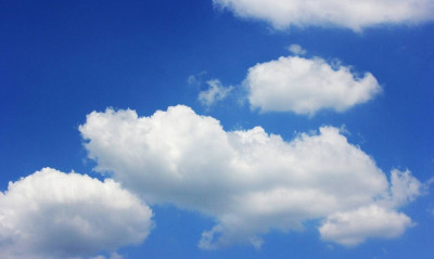 Απόκοσμο πλάσμα έπεσε από τον ουρανό στο Χαλ (photos+video)