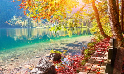 Ημερήσιες Προβλέψεις για όλα τα Ζώδια 14/09