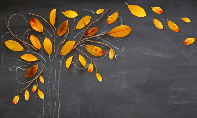 Ημερήσιες Προβλέψεις για όλα τα Ζώδια 19/09