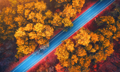 Ημερήσιες Προβλέψεις για όλα τα Ζώδια 20/09