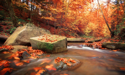 Ημερήσιες Προβλέψεις για όλα τα Ζώδια 21/09