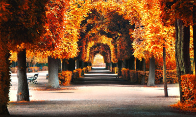Ημερήσιες Προβλέψεις για όλα τα Ζώδια 25/09