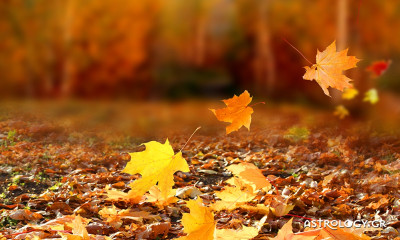 Ημερήσιες Προβλέψεις για όλα τα Ζώδια 26/09
