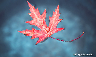 Ημερήσιες Προβλέψεις για όλα τα Ζώδια 05/10