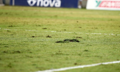 Κούγιας: «Αν ήξερα ότι θα ήταν όσο ακριβό το AEL FC Arena, θα έφτιαχνα το Αλκαζάρ»