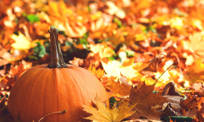 Ημερήσιες Προβλέψεις για όλα τα Ζώδια 16/10