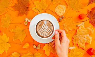 Ημερήσιες Προβλέψεις για όλα τα Ζώδια 19/10