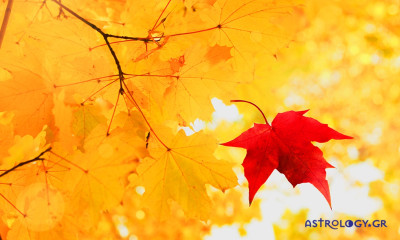 Ημερήσιες Προβλέψεις για όλα τα Ζώδια 20/10