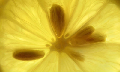 Παίρνει ένα αυγό, κουκούτσια από λεμόνι και λίγο χώμα! Το αποτέλεσμα θα σας αφήσει άφωνους! (vid)