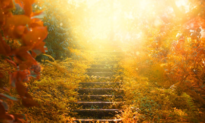 Ημερήσιες Προβλέψεις για όλα τα Ζώδια 26/10