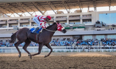 Λαμπερές παρουσίες και εντυπωσιακά καπέλα στο 73ο Ελληνικό Ντέρμπι ΟΠΑΠ