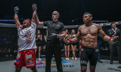 Τα καλύτερα knock-out στο «κλουβί» (video)