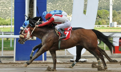 Markopoulo Park: Μεγάλα κέρδη μοίρασε το ΣΚΟΡ 6