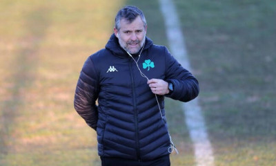 Μεταγραφική στροφή 180 μοιρών