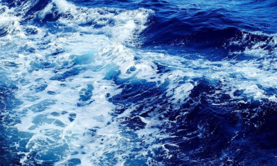 Ανατριχίλα: Ψαράς έπιασε μυστηριώδες πλάσμα με τρία πόδια (photos)