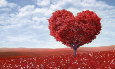 Το μεγαλύτερο site ερωτικών ταινιών κάνει ένα ξεχωριστό δώρο ενόψει του Αγίου Βαλεντίνου (photos)