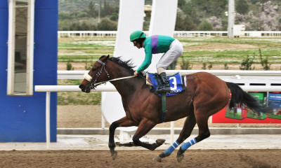 Τζακ ποτ στο ΣΚΟΡ 6 – Περισσότερα από 50.000 ευρώ στην επόμενη ιπποδρομιακή συγκέντρωση