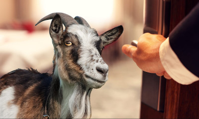 Τα πιο περίεργα πράγματα που έχουν βρεθεί σε ξενοδοχεία (photos)